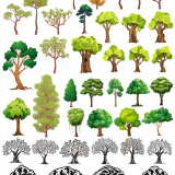 Деревья макет